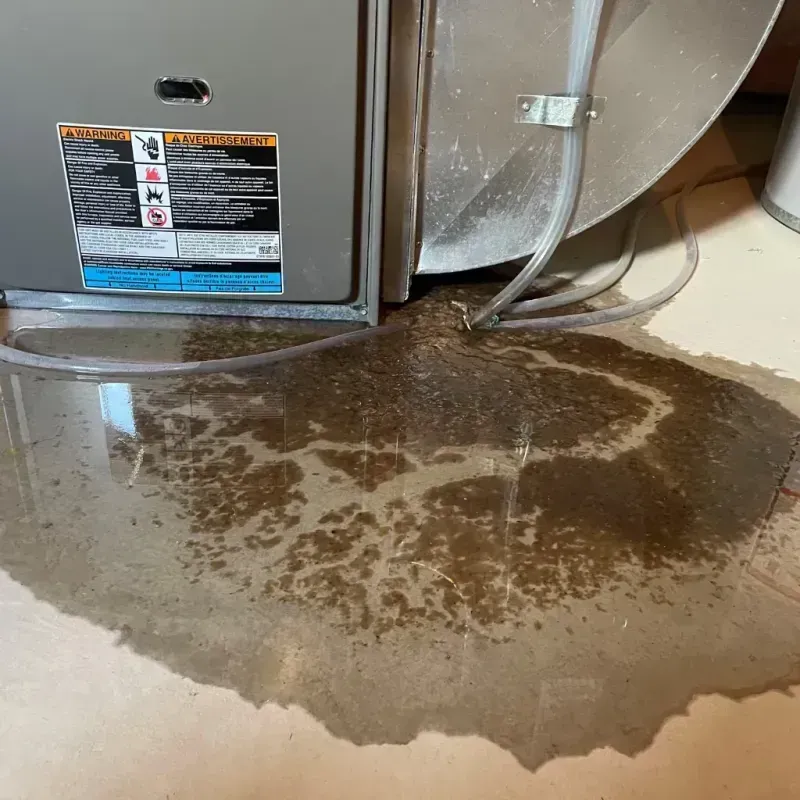 Appliance Leak Cleanup in South Saint Paul, MN